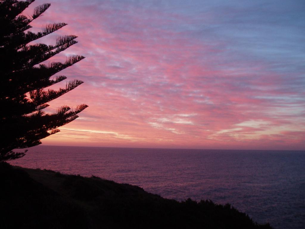 Sea Whispers Bed & Breakfast Kiama Exterior photo